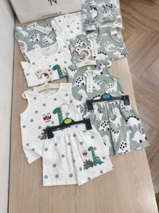 Ảnh của Set 2 bộ khủng long tone xanh bơ