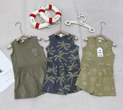 Ảnh của Set 3 bộ cây dừa tone rêu